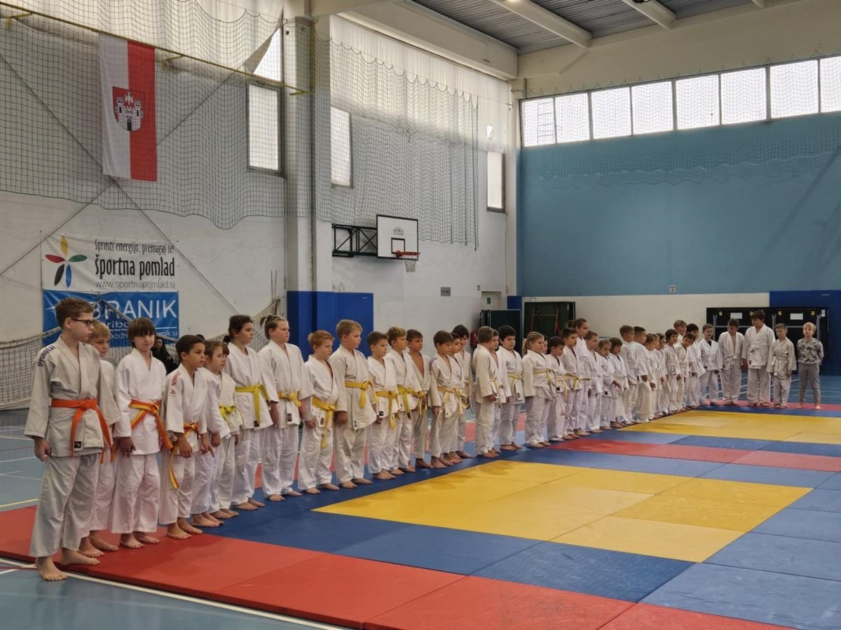 Karate — trening